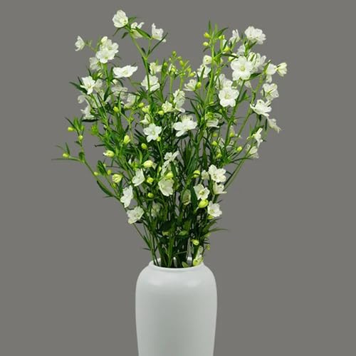 semi di delphinium, delphinium, ombra tappezzante perenne resistente per luoghi soleggiati primaverile, 100pcs