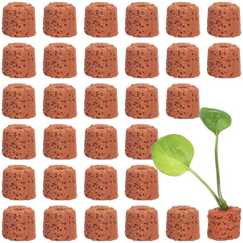 Toyvian 30 Pièces Anneaux de Fixation Poterie pour Plantes Aquatiques et Compact Support pour Aquarium et Bassin Anneaux Poids pour Plantation