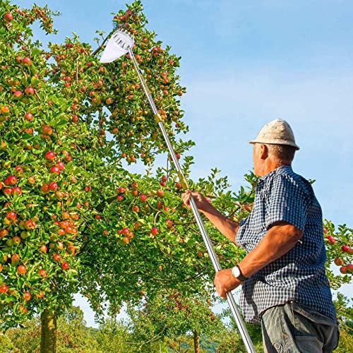 LekLai Obstpflücker, Apfelpflücker Mit Teleskopstiel, Verbindungsstange Aus Edelstahl, Metallklemme/Gold/2.5M(8Ft)