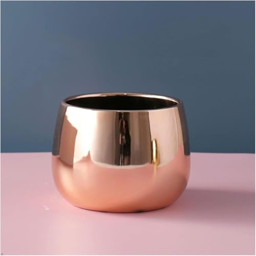 Brass Modern Flower Pots for Indoor Outdoor Plants, Round Hydroponic Succulent Vase, Small Potted Planter for Cactus Herbs