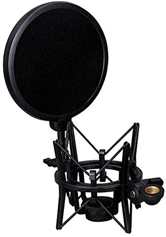 1 Stk. Mikrofon-Stativ mit Ständer zum Schutz vor Ausblasen, Netz, Stativ, Mikrofonhalter, Pop-Filter für Studio-Aufnahmen, Online-Rundfunk