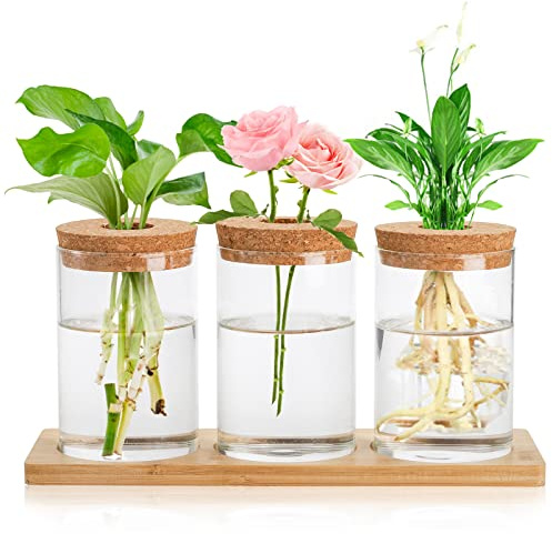 Lawei 3 Pcs Plant Terrarium Propagation Stations, Tabletop Glass Water Planting Glass Vase with Wooden Tray, Clear Jars Containers for Grow Hydroponic Plants Home Office Decoration