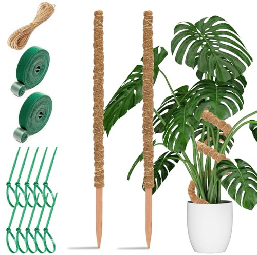 Aileem 60cm/23.6 inch Rankhilfe Moosstab, 2 Stück Biegsame Pflanzenstütze für Kletterpflanzen Indoor, Kokosstab zum Trainieren für Kletterpflanzen Hochwachsen