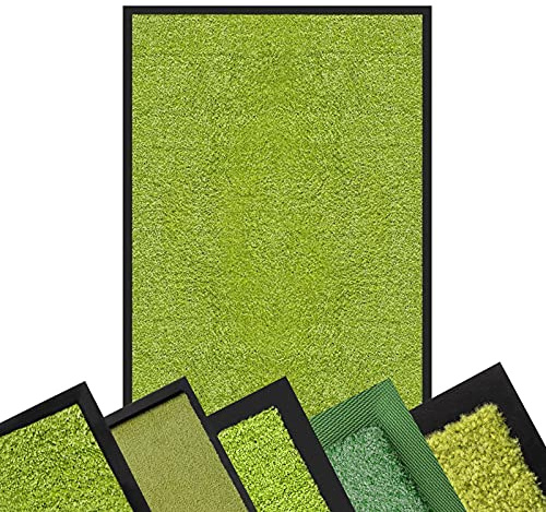 Floordirekt Schmutzfangmatte GRÜN - XXL Teppich für Flur Eingang Eingangsbereich innen & außen - Türmatte Sauberlaufmatte Fußabtreter Fussmatte - rutschfest & pflegeleicht (60 x 90 cm, Rhine)