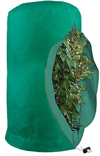HUANRU Voile D'hivernage, Voile Hivernage, Voile Dhivernage Arbre, Protection Tomate Citronnier, Housse Hivernage Sac Vegetaux Jardin Tissu Non Tissé
