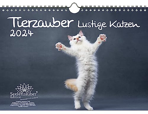 Tierzauber lustige Katzen DIN A4 Kalender für 2024 Lustige Momente mit Katzen - Seelenzauber