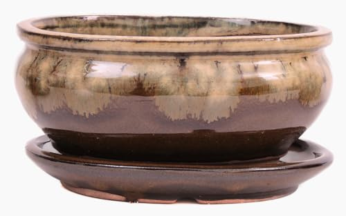 Bonsai-Shopping Bonsai - Schale oval 15.5 x 12.5 x 7.3 cm, braun/beige, mit Untersetzer 23184