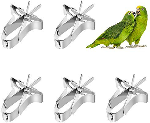 5 PCS Mangiatoia Per Frutta Per Uccelli Porta Verdura Per Uccelli Uccello Frutta Verdura Clip Mangiatoia Per Uccelli In Acciaio Inox Mangiatoia Per Uccelli Accessori Per Gabbia Giocattolo