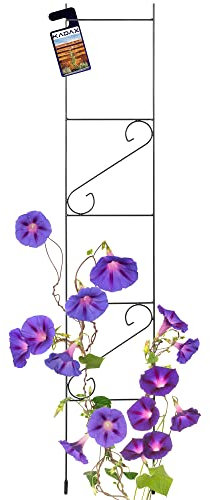 KADAX Rankgitter, Rankhilfe aus Stahl, Kletterhilfe für Garten, Pflanzen, Rosen, Kletterpflanzen, Pflanzengitter, Rankleiter, wetterfestes Spalier, Deko, freistehend, schwarz (Höhe: 150 cm)