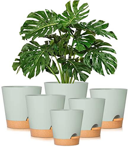 GARDIFE Pots de Fleurs à arrosage Automatique avec Trou de Drainage, Pots de Fleurs en Plastique pour Toutes Les Plantes d'intérieur, Plantes Grasses, Serpent, Violet Africain, Fleurs et Cactus 20,3