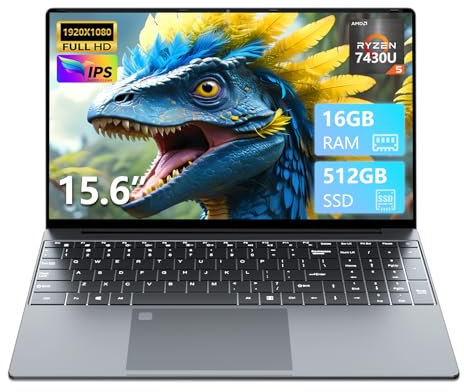 Ordinateur portable 15,6 pouces Ryzen 5 7430U, 16 Go de RAM SSD 512 Go, Carte Graphique Radeon, PC Portable écran IPS Full HD, Type-C, USB 3.0, HDMI, clavier numérique rétroéclairé, Win11 Laptop