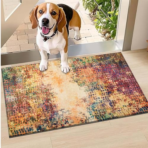 Hafaa Door Mat Indoor Outdoor 60 x 110 cm – Vibrant Super Soft Non Slip Mat Machine Washable Doormat Water Absorbent Floor Mats Heavy Duty Entrance Rug