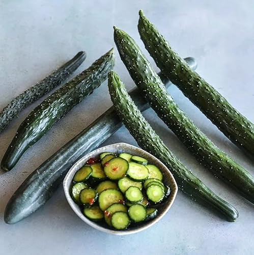 30 Seeds Spiny Jade Hybrid Chinese burpless Cucumber Seeds; 密 剌 胡 瓜