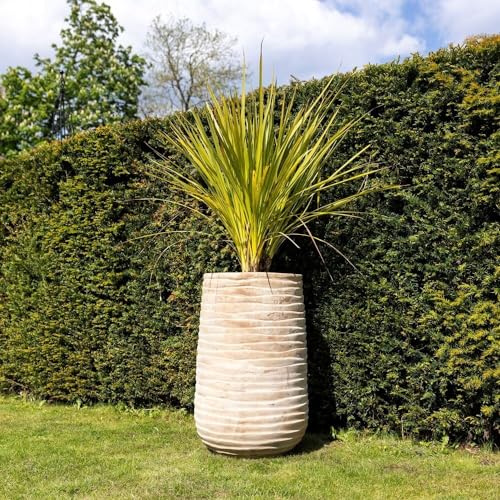 Primrose H80cm Terracotta Tall Round Planter In Cream Garden Patio Flower Pot