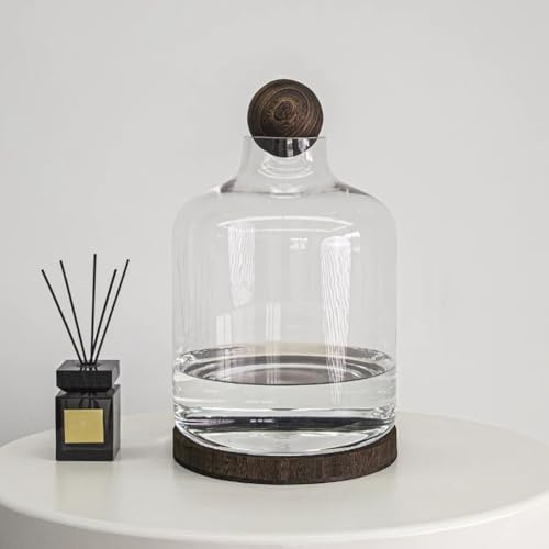 MegLob Aquaponics Fischtank, Glas Betta Fischtank Mit Holzbasis, Aquaponic Pflanzer Und Aquarium Für Betta Fisch, Innengarten -Ökosystem Aquarium, Clear Glass Betta Fischschale,Curved XL