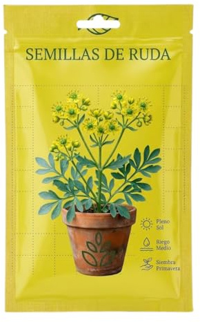 Planta de Ruda Aromática para Huerto Urbano y Balcón | Semillas de Ruda DECOALIVE