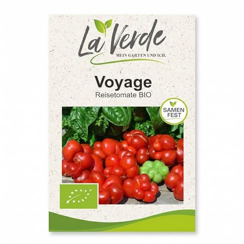 La Verde MEIN GARTEN UND ICH. Voyage Reisetomate BIO Tomatensamen für ca. 8–10 Pflanzen, aromatische Fleischtomate, Saatgut ohne Gentechnik