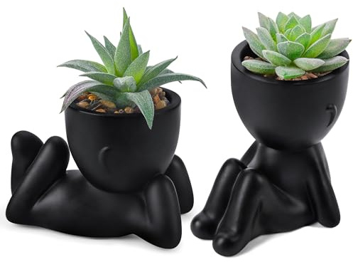 Der Rose Set of 2 Fake Plants Artificial Succulent Plants Small Fake Plants for Office Desk Accessories Black Bathroom Home Room Aesthetic Decor Indoor