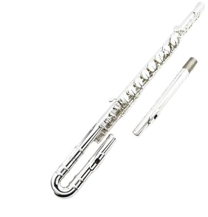 Schülerflöte Versilberte Altflöte G Ensemble Band Performance Student Erwachsene Instrument