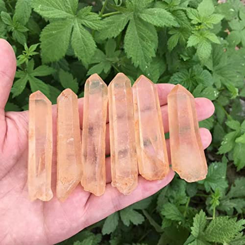 Decoración del hogar de cristal natural en bruto, 6 piezas de torre de varita con punta de cristal de cuarzo transparente natural, cristal de cuarzo de roca de un solo punto, regalos de piedras precio