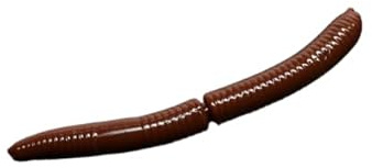 pro-bite Libra Lures Fatty D`Worm 75mm | Forellenköder Supersoft | Inhalt: 8 Stück | Aroma: Käse (038 / Brown)