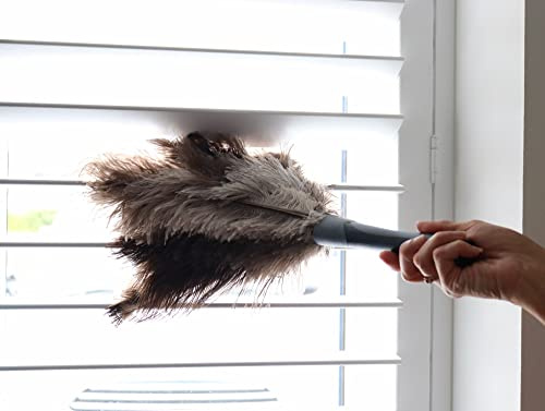 The Home Valet Company Ozzie Ostrich Replacement Head