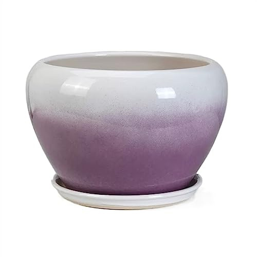 Fioriera grande in ceramica con vassoio, colore sfumato, grazioso vaso da fiori rotondo per piante grasse da interno/esterno, viola medio, ideale per giardinaggio e decorazione della casa