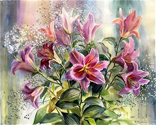 YEESAM ART DIY Ölgemälde Malen nach Zahlen Erwachsene Kinder, Rosa Lilie Blumen Zahlenmalerei ab 5 Öl Wandkunst (Rosa, mit Rahmen)