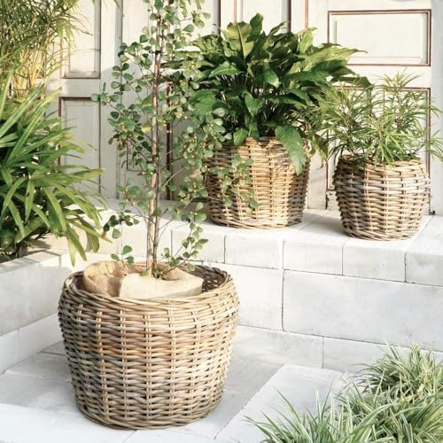 Natur Rattankorb GINI Natural Grey ca.42x35cm Pflanzkorb Übertopf Aufbewahrungskorb Korb