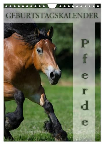 Pferde/Planer (Wandkalender 2026 DIN A4 hoch), CALVENDO Monatskalender: 13 schöne Pferdemotive auf einem Geburtstagskalender (CALVENDO Tiere)
