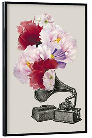 artboxONE Poster mit schwarzem Rahmen 75x50 cm Floral Blumophon - Bild Grammophon Blumen Grammophon
