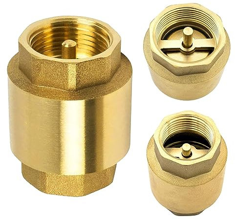 Rückschlagventil Feder, Vertikales Rückschlagventil Wasser, Rückflussverhinderer 1 Zoll für Brunnen, Saugschlauch, Hauswasserwerk, Waschmaschine, Gartenpumpe im Garten