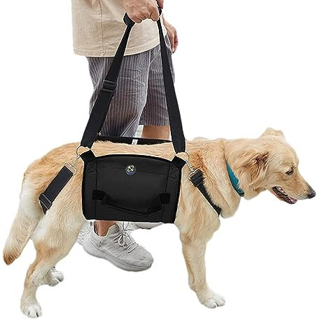 Aznever Hebegeschirr für Hunde, Treppenhilfe-Stützgurt, große Schlinge, Atmungsaktive Treppenhilfe, verstellbare, robuste Gehhilfe für behinderte, alte, gelähmte Hunde
