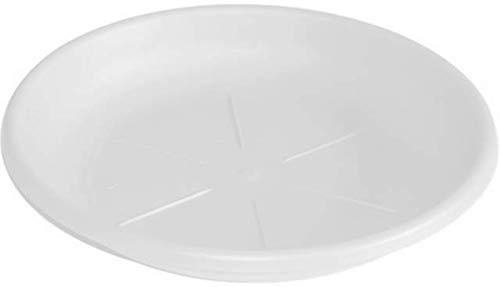 Bama Sottovaso, in Polipropilene, Rotondo, Bianco Ø 22 cm