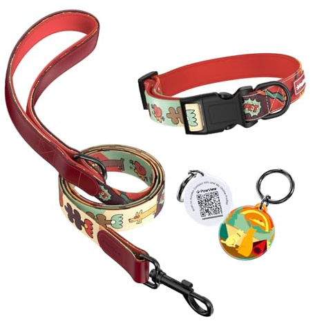 PawView Sonnenaufgangs Stil Personalisierte Hundeleine und Halsband Set Verstellbar, mit Hundemarke qr Code Passend für Welpen und kleine Hunde XS (Halsumfang: 22–30 cm, Leinenlänge: 1.5 m) DE