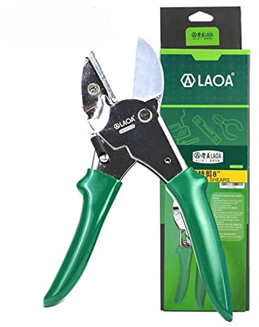 Cesoie da giardino Forbici per bonsai Cesoie da potatura Cesoie da giardino Cesoie per raccolta frutta Cesoie per la casa e da giardino Attrezzi da giardinaggio