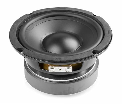 Fenton WPP13 - Woofer de 13 cm (5,25), 150W máx., suspensión de Espuma, Bobina Resistente al Calor, Recambio Ideal para Altavoces HiFi o Montaje de Sistemas de Sonido Personalizados