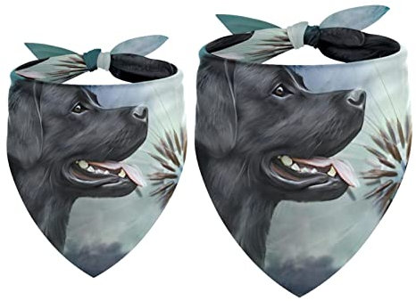 Passendes Set mit Hundehalstüchern, Hundelätzchen, Schal, Dreieckstuch für Hunde, Katzen, Haustierbesitzer, Mutter und Vater, 2er-Pack,Tierischer schwarzer Labrador Hundelöwenzahn