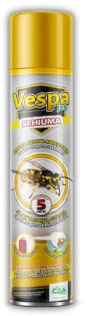 Briconess.com Insetticida schiumogeno Spray per vespe e calabroni 750 ml