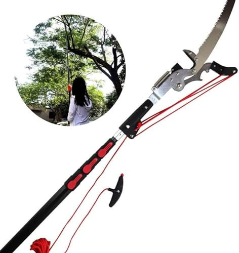 Sega a palo telescopica, potatore Professionale, tagliasiepi Estensibile, cesoia da Giardinaggio per Taglio Rami e potatura paesaggistica