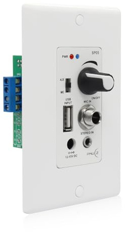 PNWCZ - Bluetooth-kompatibel väggljudstyrningsförstärkare 2-kanals väggplatta med USB mikrofon Aux (3,5 mm) ingång 120 W för ljudsystem biointegration