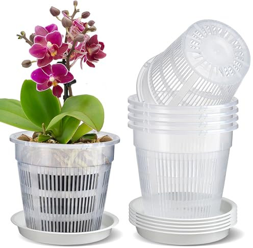 MYITYARD Lot de 6 grands pots à orchidées avec trous de 14 cm pour rempotage - Pots de fleurs en plastique transparent avec soucoupes pour Dendrobium, Phalaenopsis