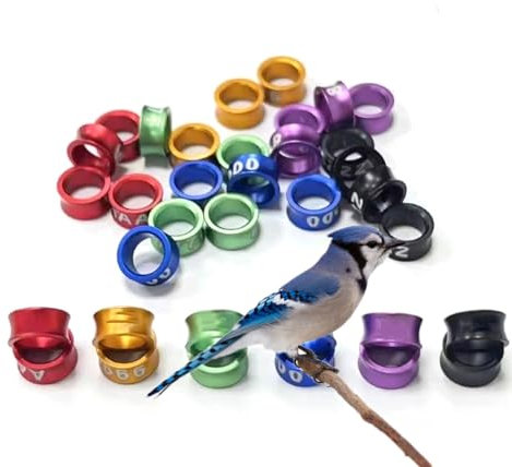 CARYZ Tauben-Fußkettchen, Identifikations-Beingurt, Wachtel-Clip, Markierungsschild (4 mm–8 mm), Aluminium-Taubenring, gemischte Farbnummer, zufällig 150pc Mixed colors4.7mm