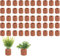 Eterspr 50 Pieza Plantas Acuáticas Anillos, Cerámica de Acuario, Plantas de Agua Anillo, para Mantener Todo Tipo de Plantas Acuáticas y Plantas en el Acuario