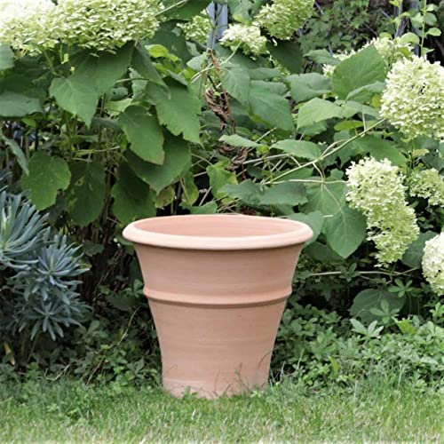 Palatina - Macetero de cerámica de terracota hecho a mano, altura 30 cm, totalmente resistente a las heladas, para el jardín, balcón o terraza, yuca de 30 cm