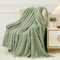 Aganear Coperta in pile, accogliente, morbida e leggera, in flanella, calda, decorativa, regalo per tutte le stagioni, coperta portatile per divano, letto, auto (127 x 152,4 cm, verde salvia)