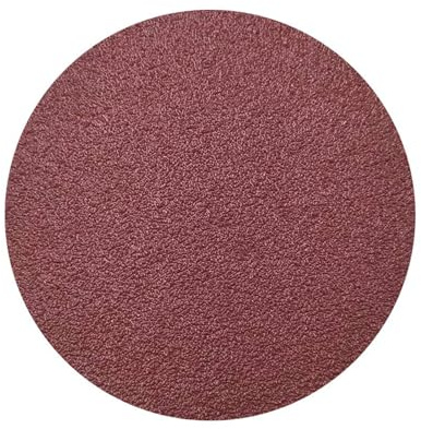 HOTCKB 30 Stück Schleifpapier 125mm Klett Rund Exzenter Schleifscheiben mit Klettverschluss für Exzenterschleifer Körnung P40