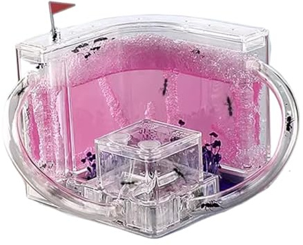 AZHKJKZH Ameisen Terrarium Ameisenburg, Ameisenstudio, Lebensraum, Ameisenfarm, Wissenschaftsbausatz, Ameisennest, Farm Für Lernbausatz Ameisenfarm Zubehör(Pink)