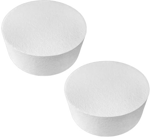 2 Pcs Foam Discs for Crafts, 8 in Cake Dummy, Styrofoam Circles for DIY Cake Decorating, Smooth White Round Dummy Cakes, Ideal for Weddings Birthdays Parties