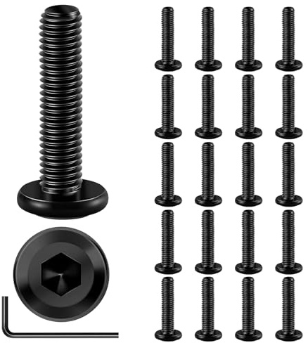 20 Stück M8 x 25 Schrauben, Flachkopfschrauben M8, Linsenkopfschrauben M8 Edelstahl A2 V2A, Innensechskant Flachkopf Vollgewinde M8 Schrauben mit Schraubenschlüssel für Montage Wartung